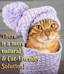 Fluffy Feline after-use coat shows improved coat appearance