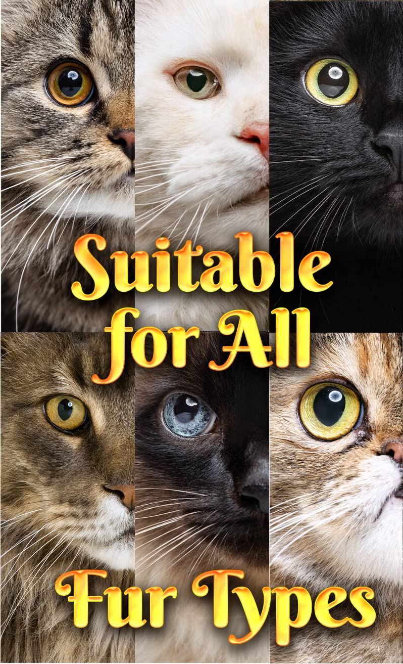 Fluffy Feline moisturized skin close-up illustrating skin care benefits
