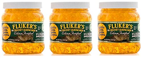 Fluker's Cricket Quencher 3-pack gel in dish provides clean, safe hydration for crickets