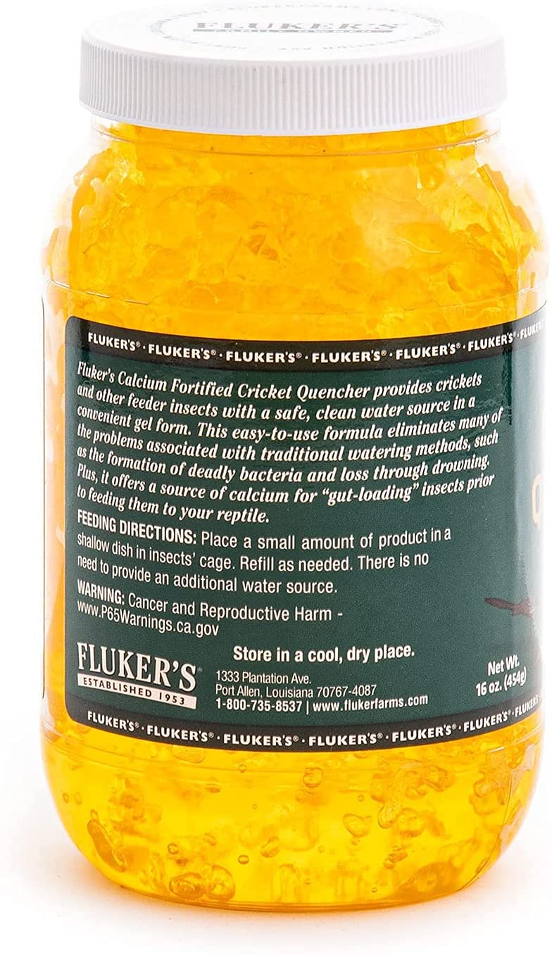 Fluker's Cricket Quencher in a shallow dish makes feeding easy for crickets