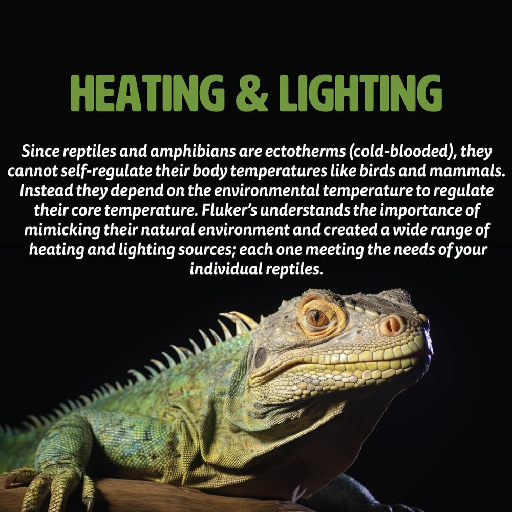 Fluker's lamp durable construction ensures long-lasting reptile heating.