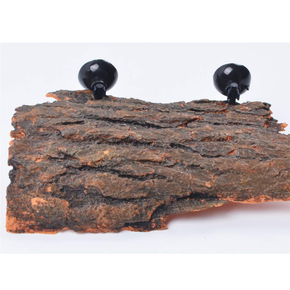 Flushbay aquarium-viewing-angle platform enhances observation of your turtle behavior