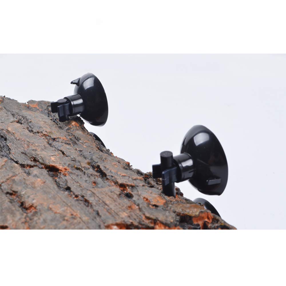Flushbay platform size 23x12.5cm fits most terrarium tanks