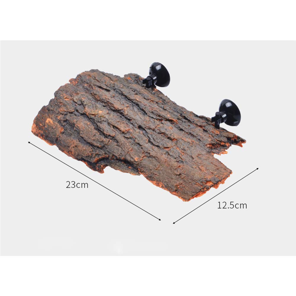 Flushbay turtle platform with suction cups ensures secure glass mounting for stable use