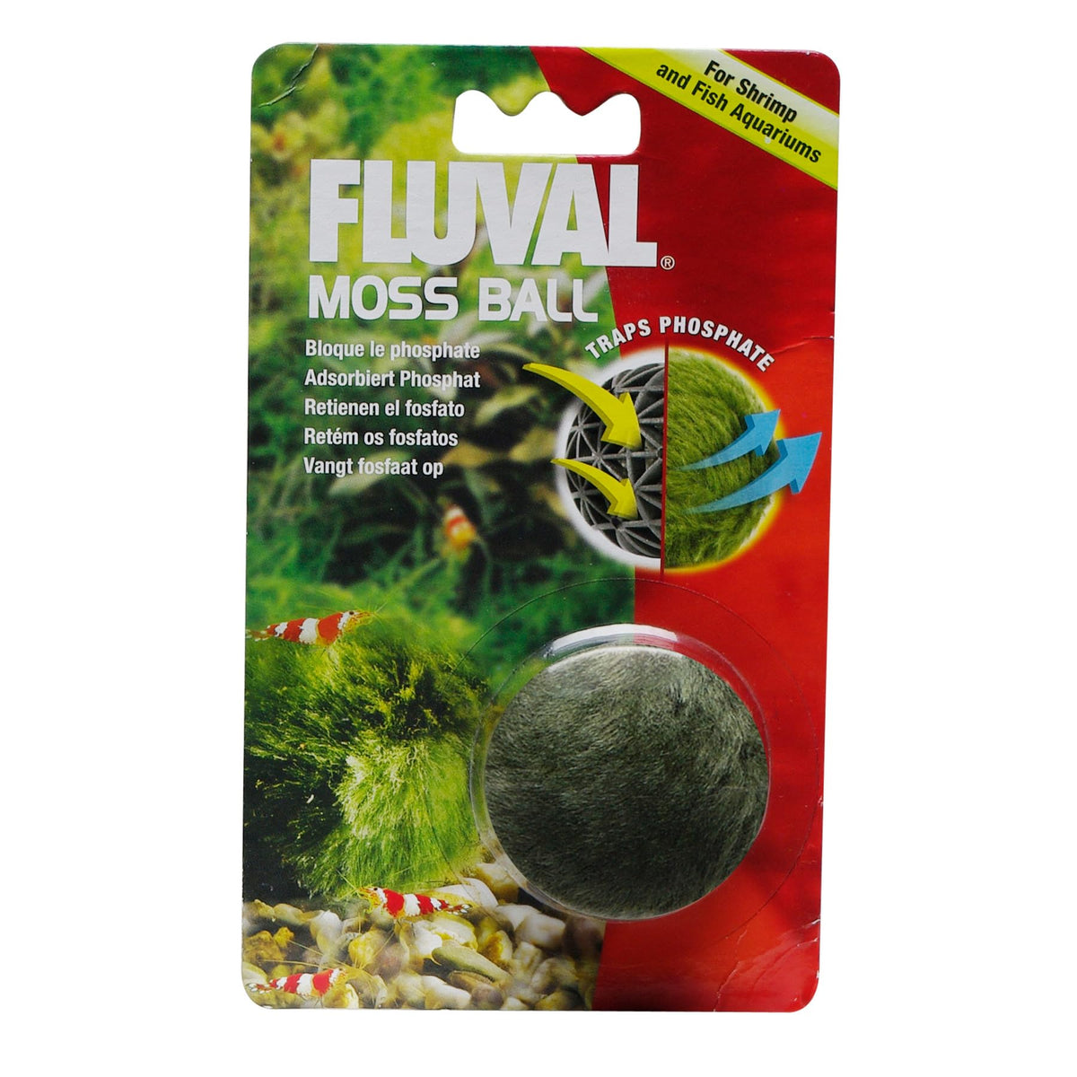 Fluval Articifical Moss Ball view shows decorative moss with phosphate-trapping benefits.