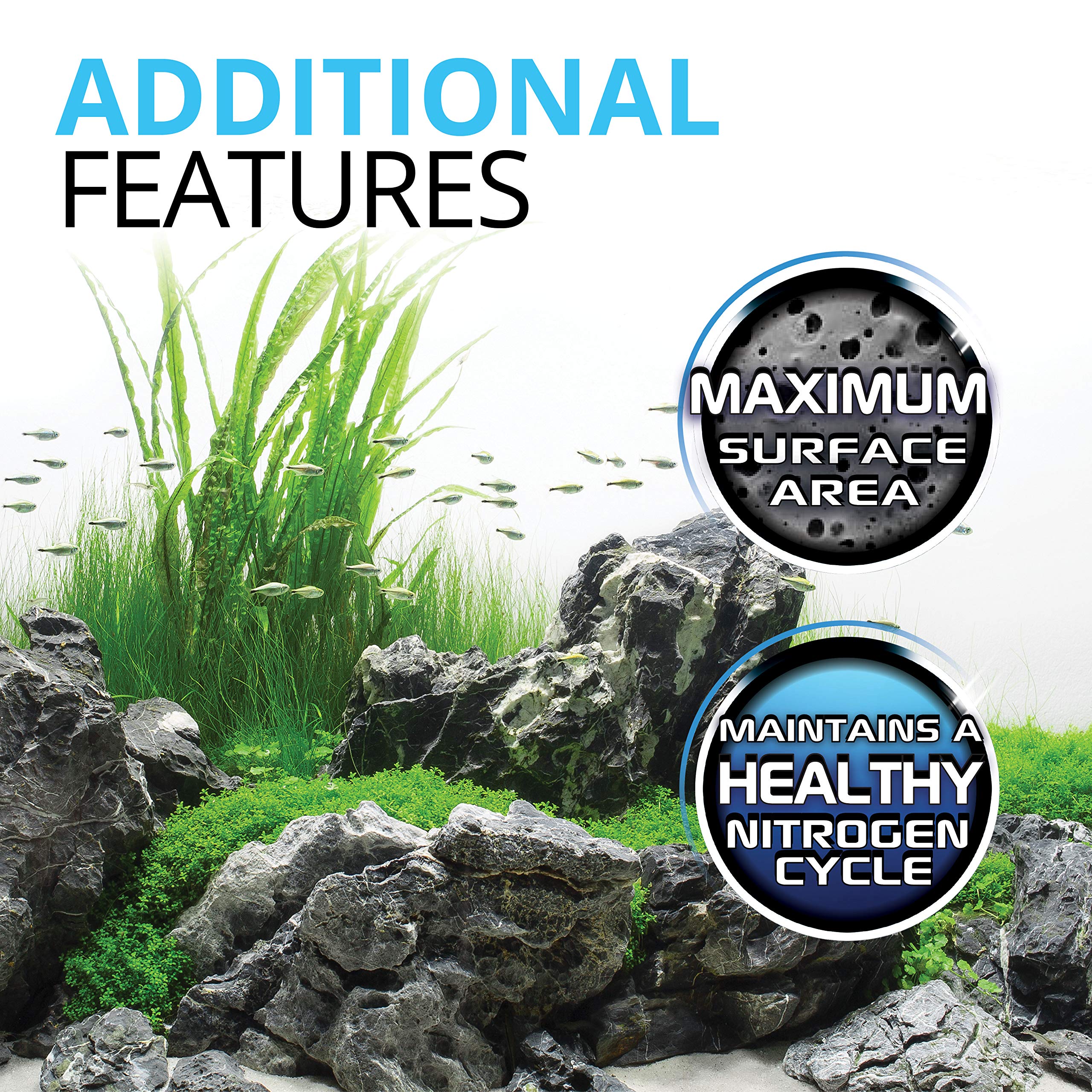 Fluval BioMax in aquarium filtration scene suggests clearer water and balanced flow.