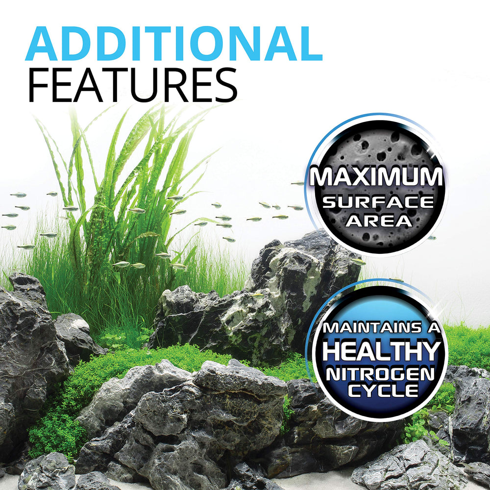 Fluval BioMax in aquarium filtration scene suggests clearer water and balanced flow.