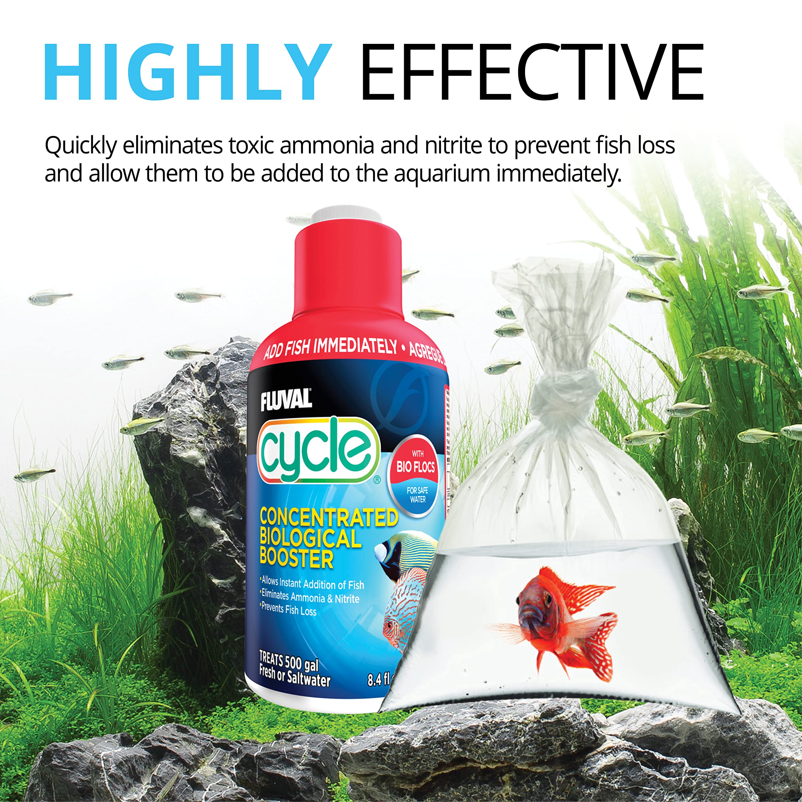 Fluval Cycle new-tank setup scene illustrating establishing safe biofilter