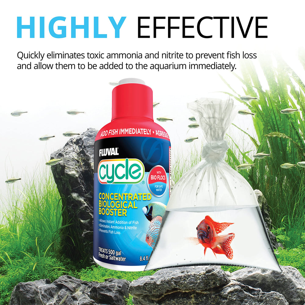 Fluval Cycle new-tank setup scene illustrating establishing safe biofilter