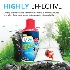 Fluval Cycle new-tank setup scene illustrating establishing safe biofilter