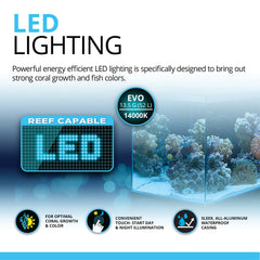 Fluval Evo XII honeycomb design accentuates modern aesthetics with efficient water flow.
