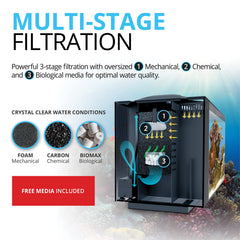 Fluval Evo XII LED light on showcases day and night illumination for healthy coral color.