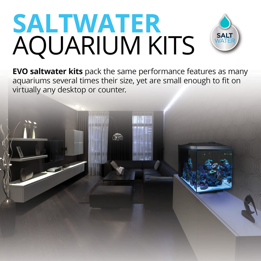 Fluval Evo XII rear filter compartment highlights integrated filtration for easy maintenance.