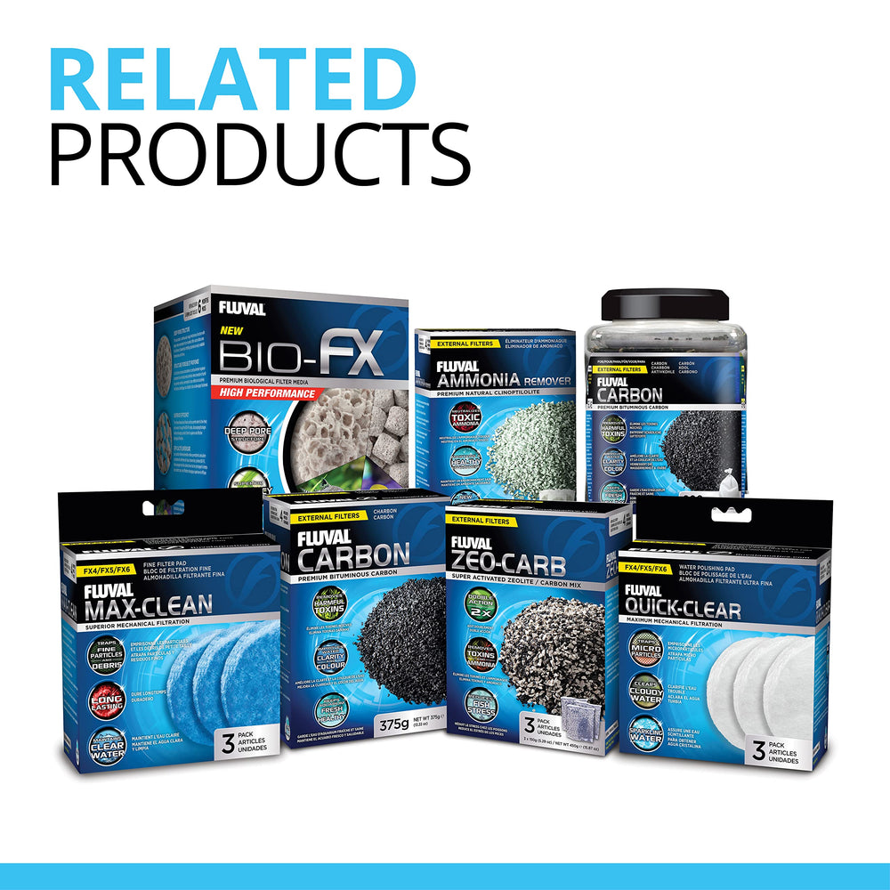 Fluval FX5 filtration maintenance keeps water clear by reducing debris buildup.