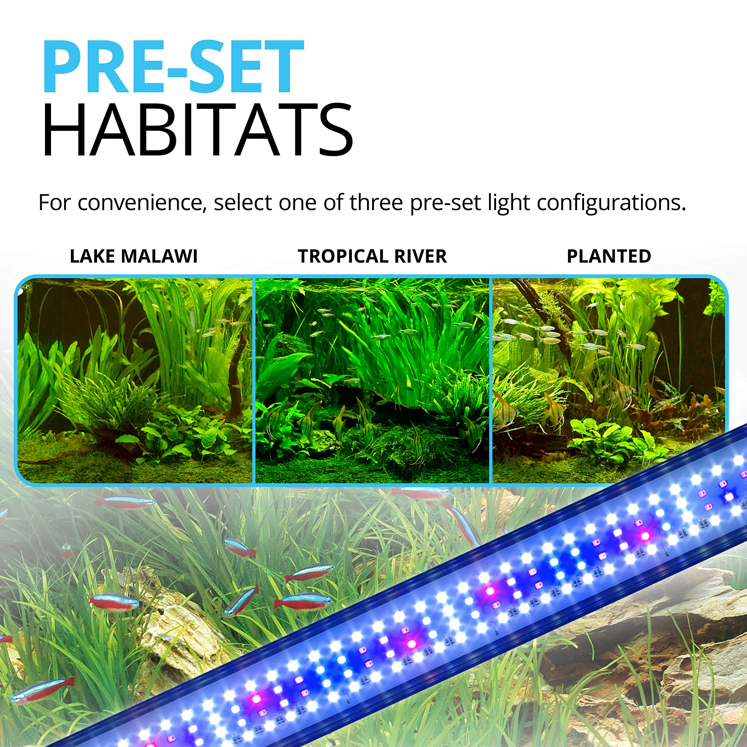 Fluval Plant 3.0 LED tropical habitat preset in action
