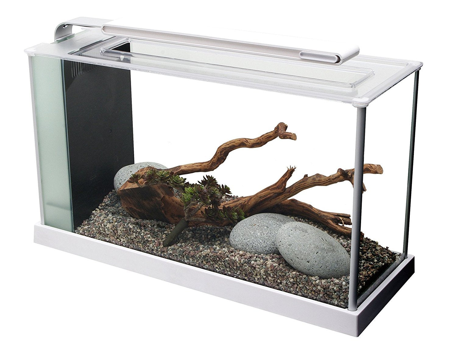 Fluval SPEC 5-gallon aquarium front view showcasing compact desktop setup for plants and small fish