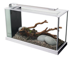 Fluval SPEC 5-gallon aquarium front view showcasing compact desktop setup for plants and small fish