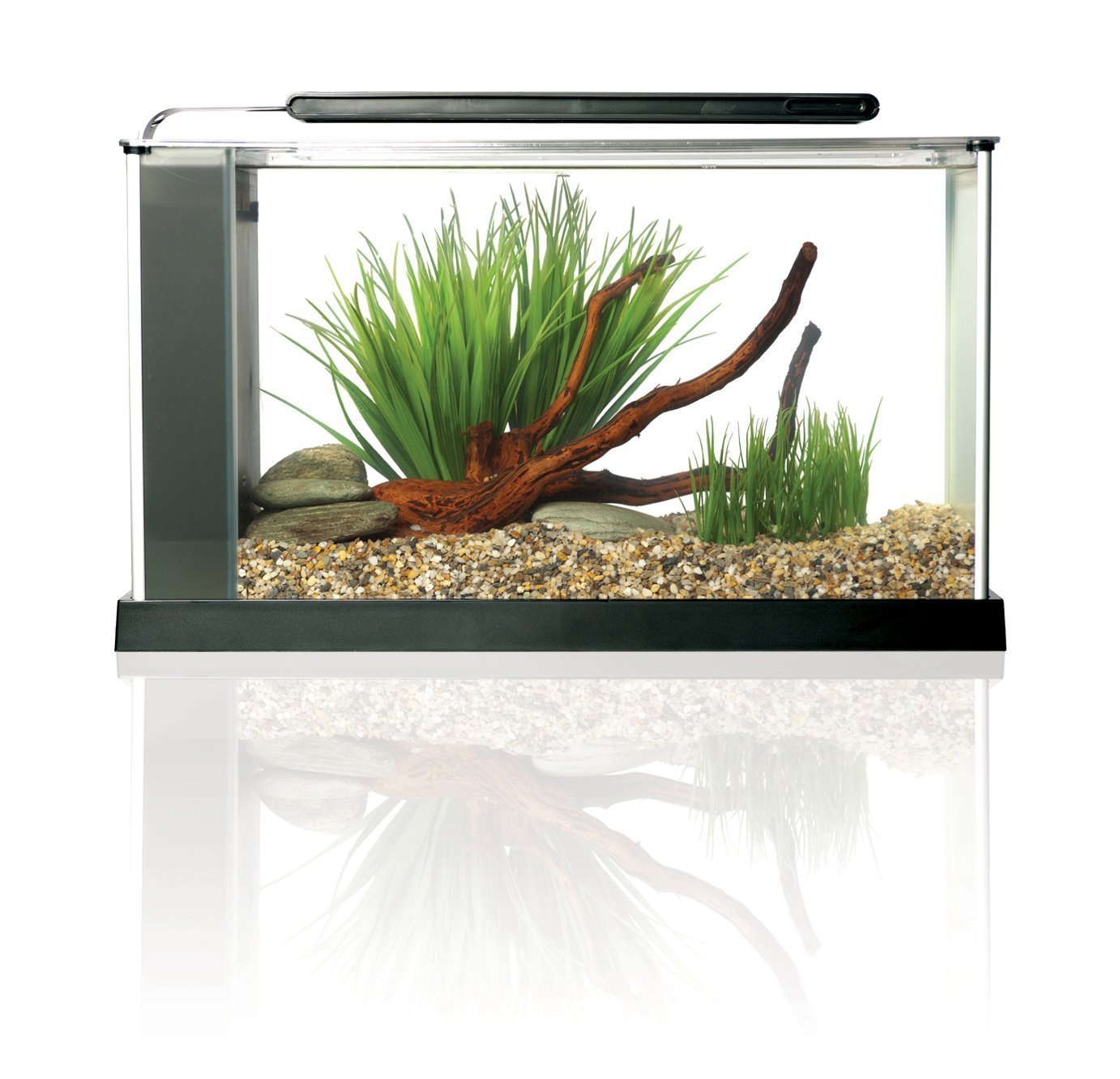 Fluval SPEC etched glass with aluminum trim offers durable, stylish desktop display.