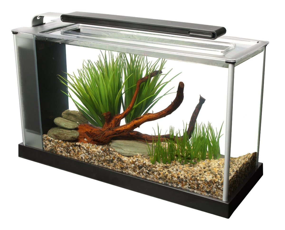 Fluval SPEC aquarium with LED lighting arch enhances vibrant fish colors and plant growth.