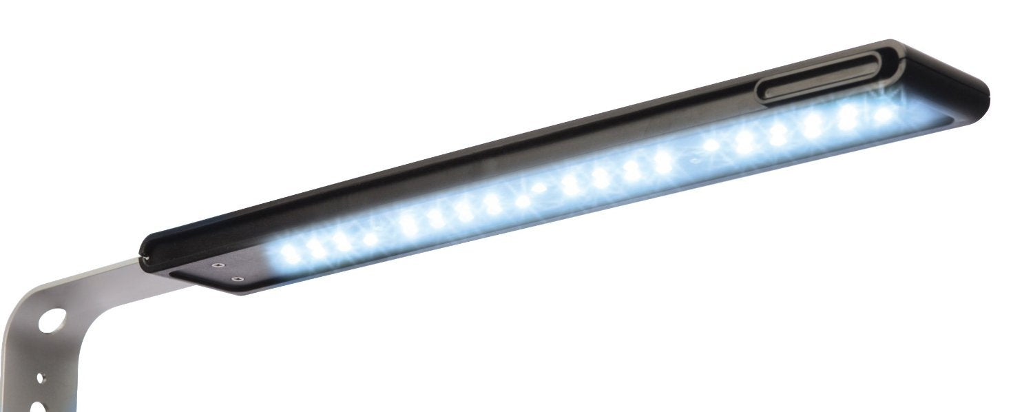 Fluval SPEC three-stage filtration keeps water clear for healthy small aquariums.