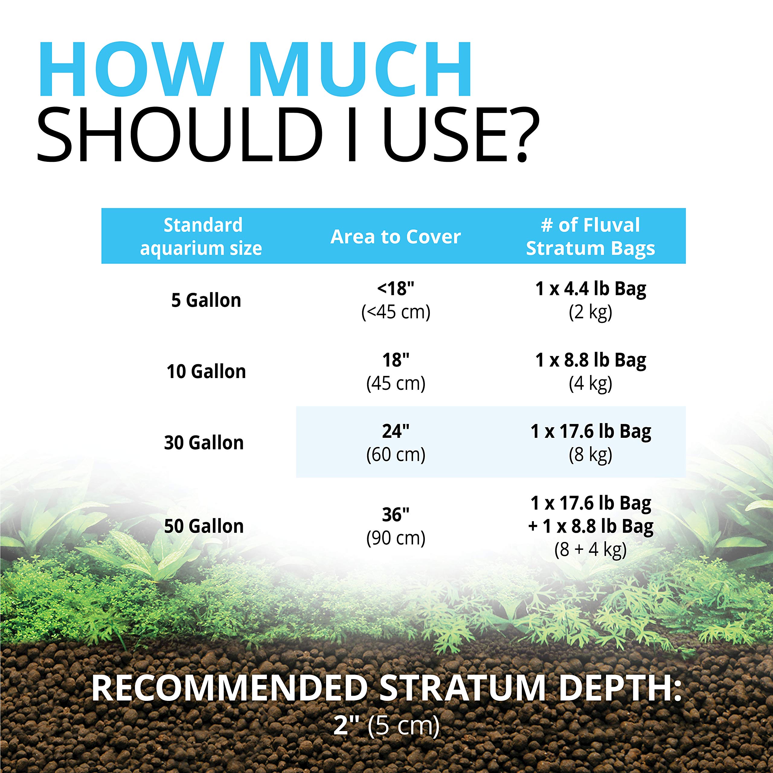 Fluval Stratum provides newborn shrimp a safe hiding place.