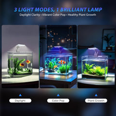 FluviRay mini clip-on light in full-spectrum mode highlighting plants and fish colors in a 3-mode setup.