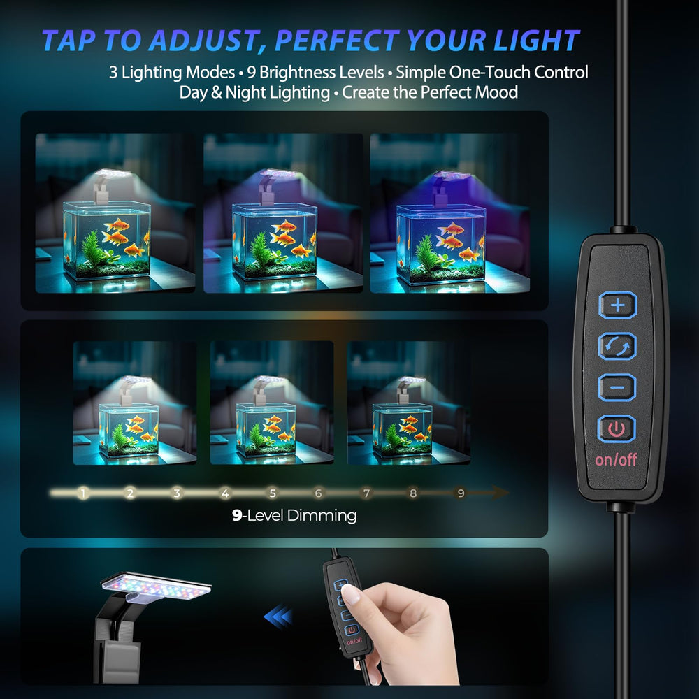 FluviRay RGB mode enhances fish colors and decorative lighting for a vibrant aquarium.