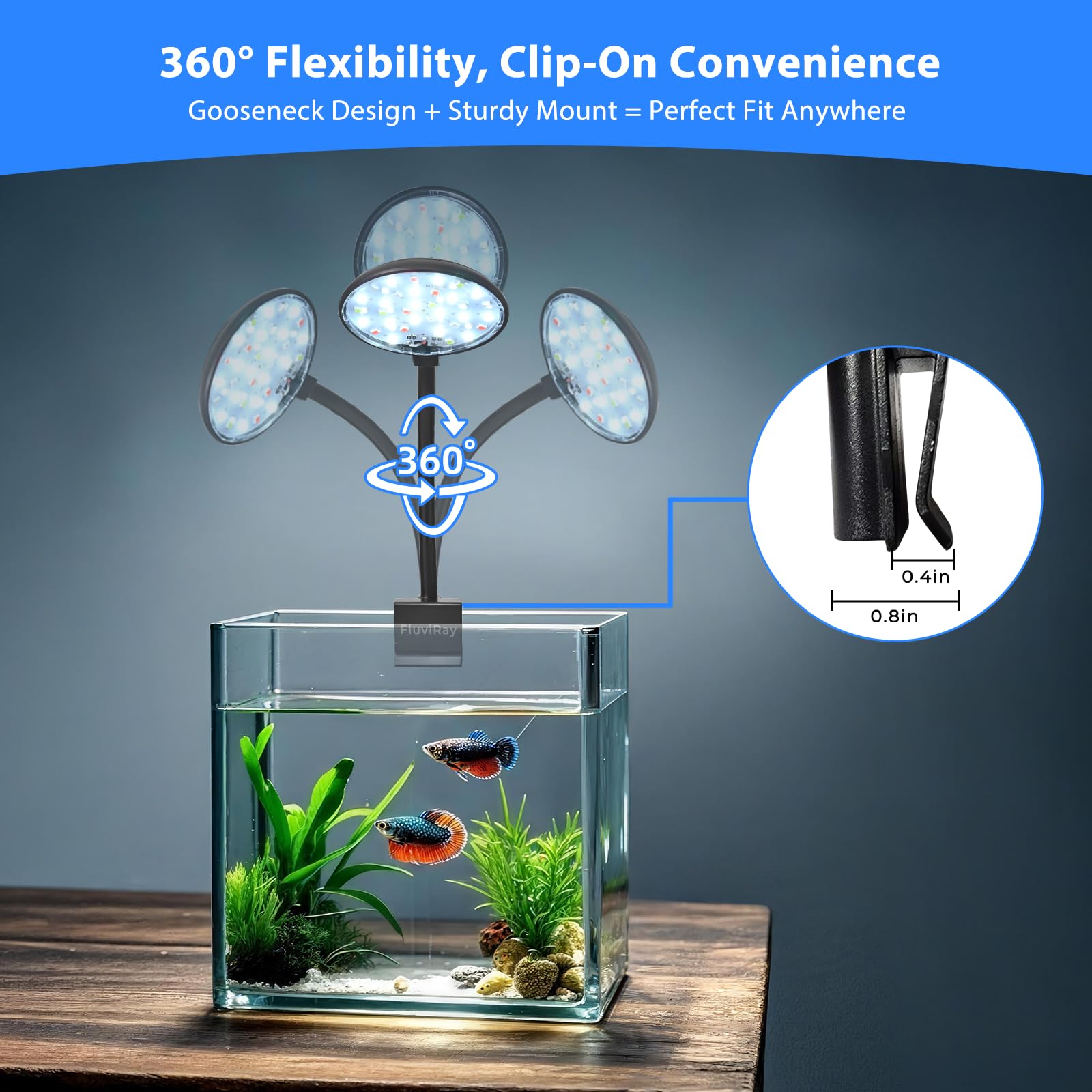 FluviRay three-modes display demonstrates versatile lighting for day, color, and ambiance.