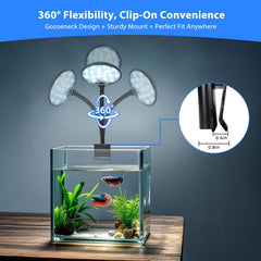 FluviRay three-modes display demonstrates versatile lighting for day, color, and ambiance.