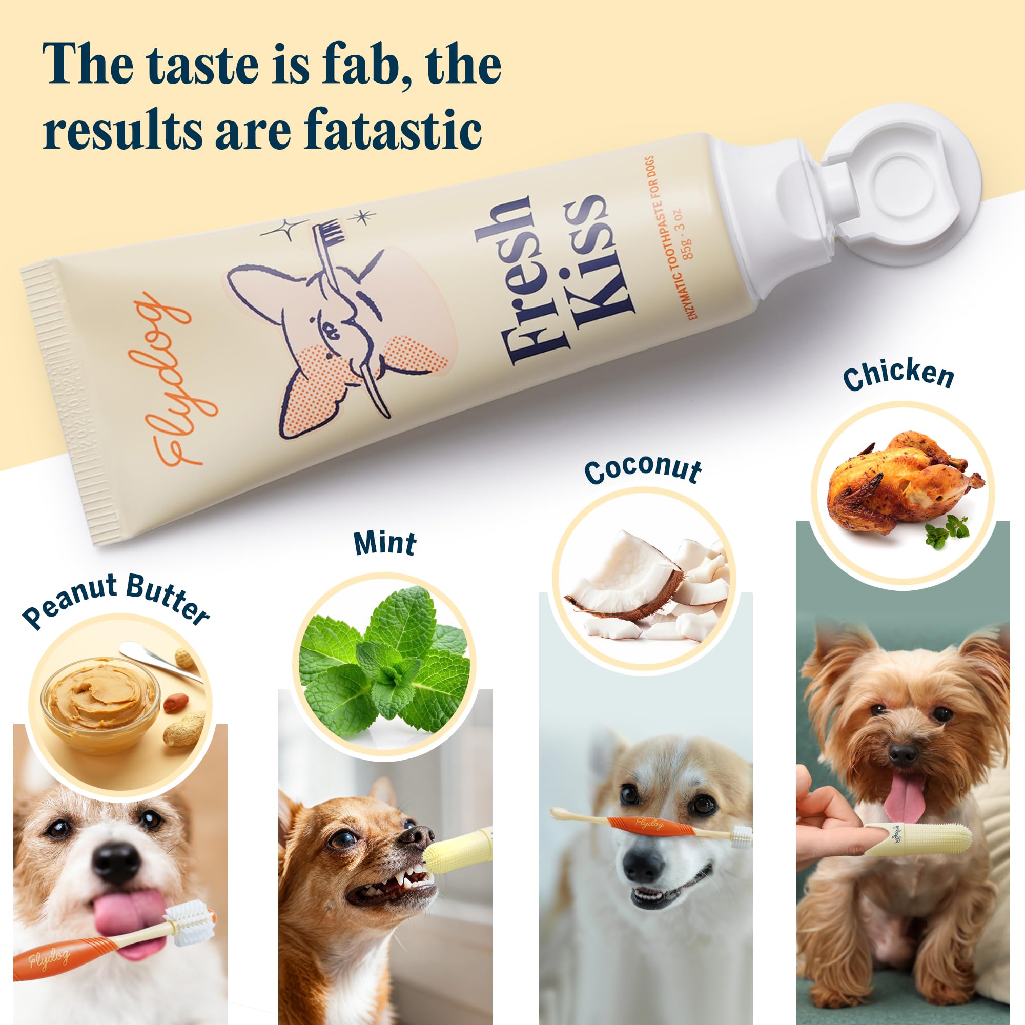 FlyDog Fresh Kiss coconut flavor toothpaste tub highlights tasty daily dental care.