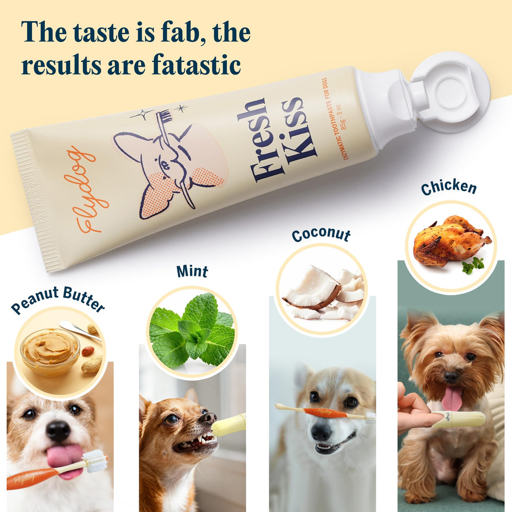 FlyDog Fresh Kiss coconut flavor toothpaste tub highlights tasty daily dental care.