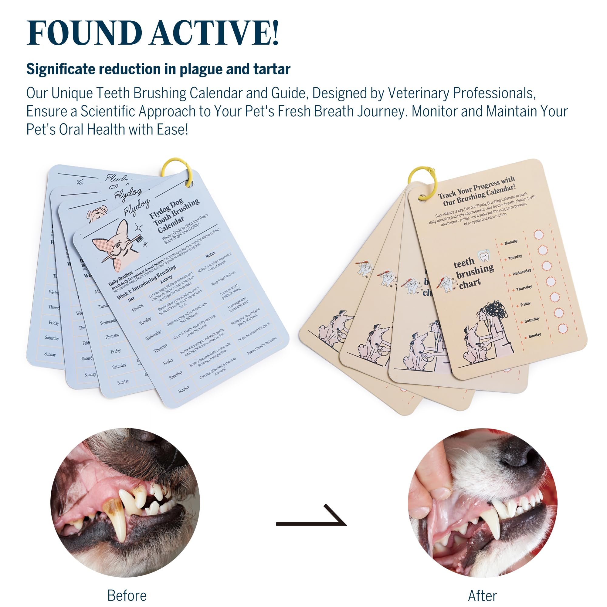 FlyDog Fresh Kiss dental guide page providing step-by-step brushing routines.