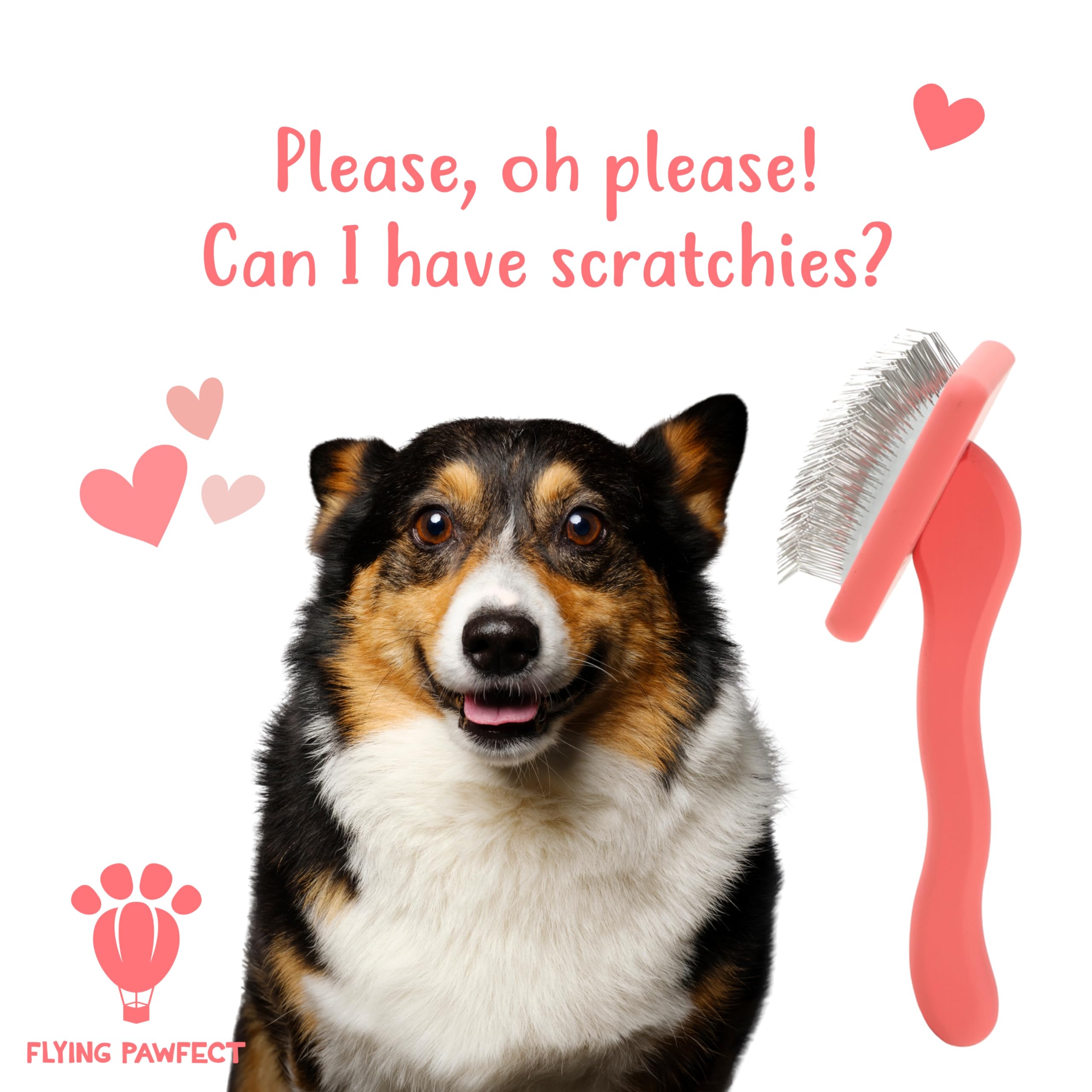 Flying Pawfect home grooming routine companion brush enhances daily brushing coral