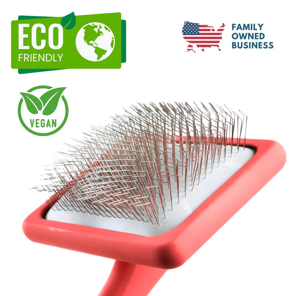 Flying Pawfect packaging includes warranty details for confident online purchase coral