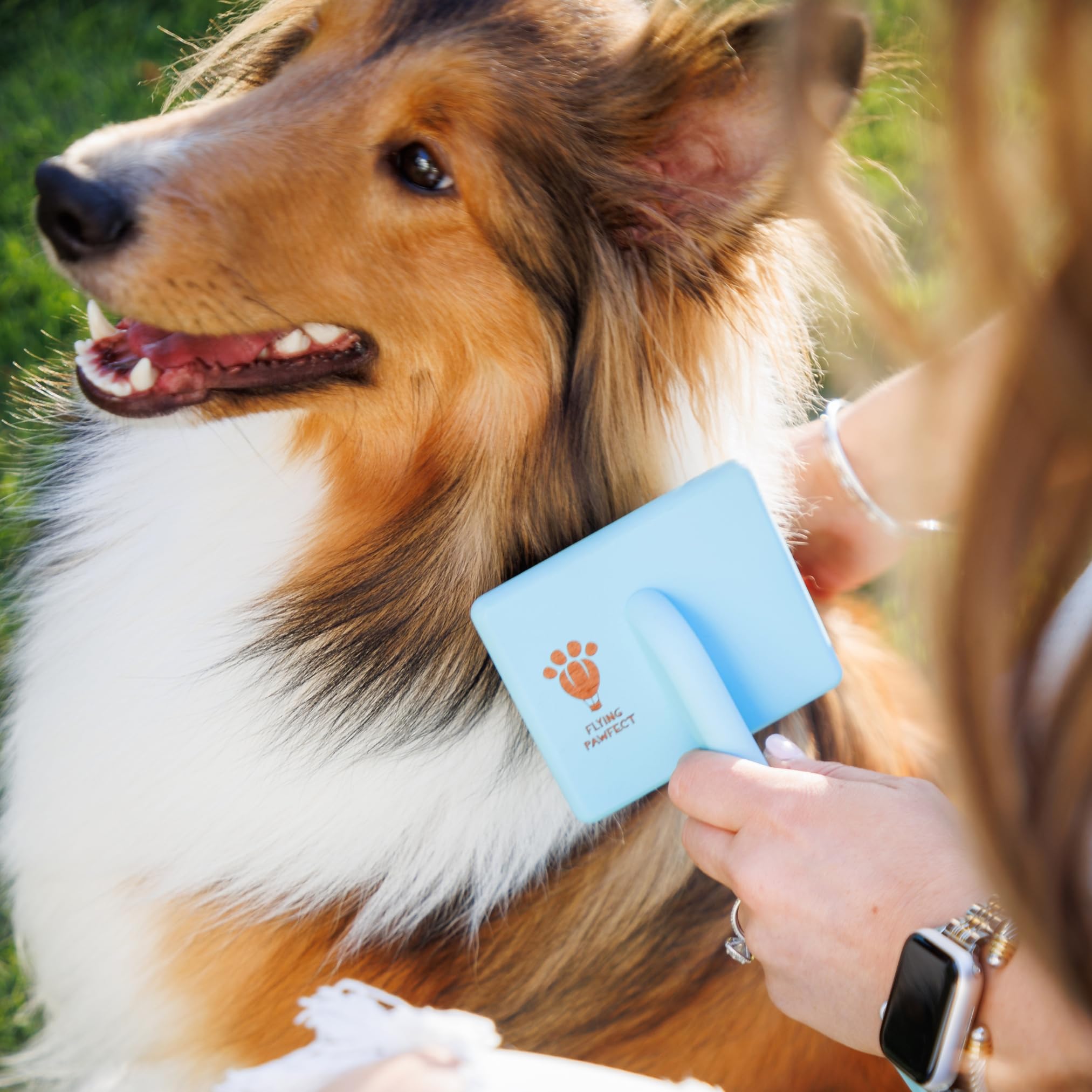 Flying Pawfect slicker brush calming massage for pets during brushing