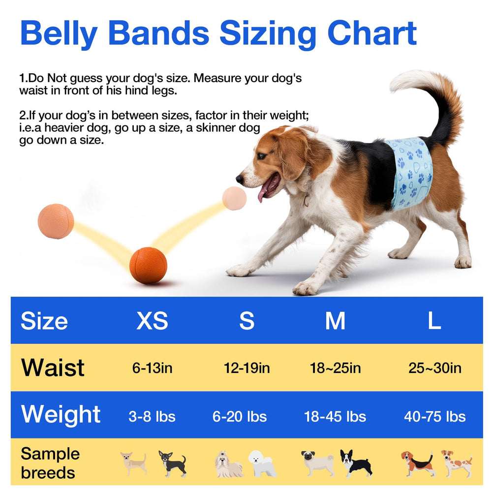 Flying Paws 52-count pack supports ongoing training and protection