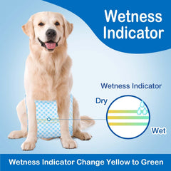 Flying Paws belly band with elastic sides for secure fit during activity