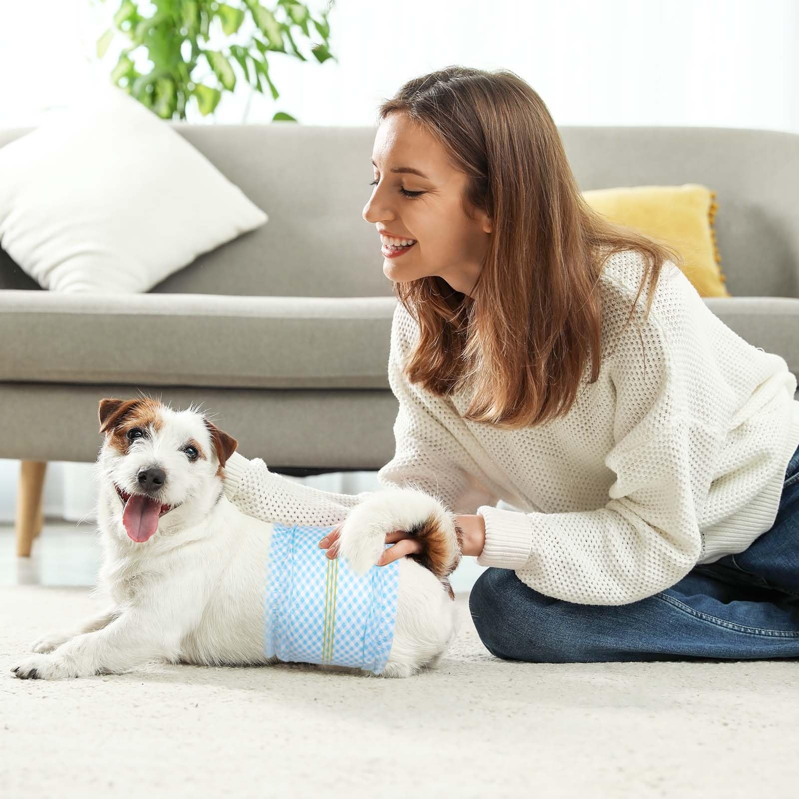 Flying Paws belly bands ideal for travel or home use