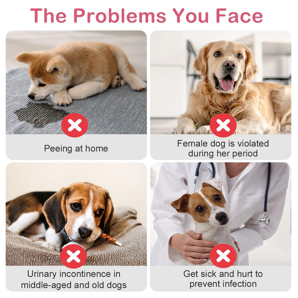 Flying Paws heat use scenario illustrates practical pet care and hygiene