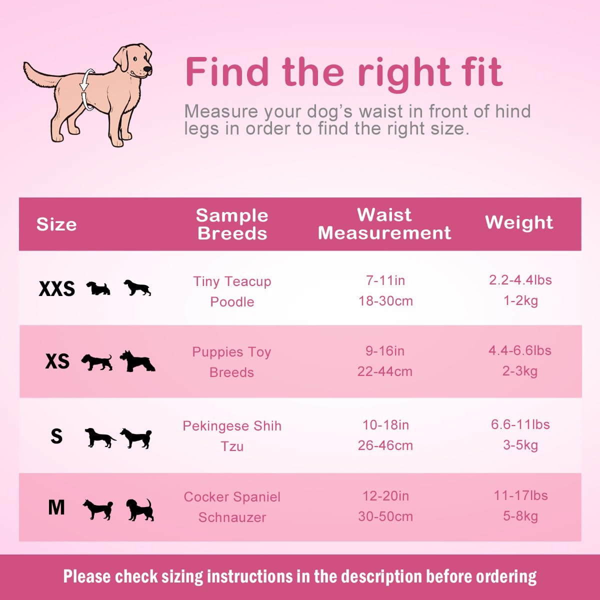 Flying Paws XXS size closeup shows secure fit for tiny dogs