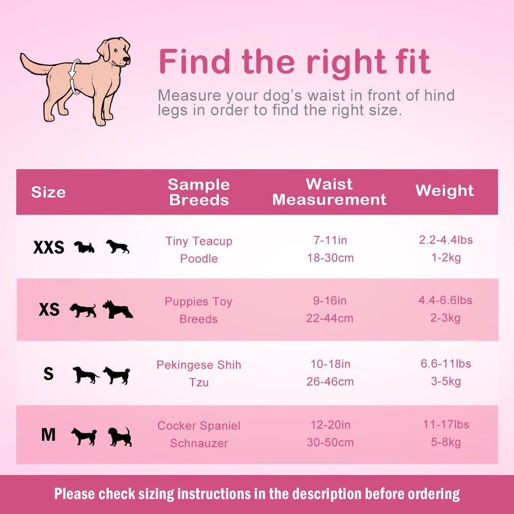 Flying Paws XXS size closeup shows secure fit for tiny dogs