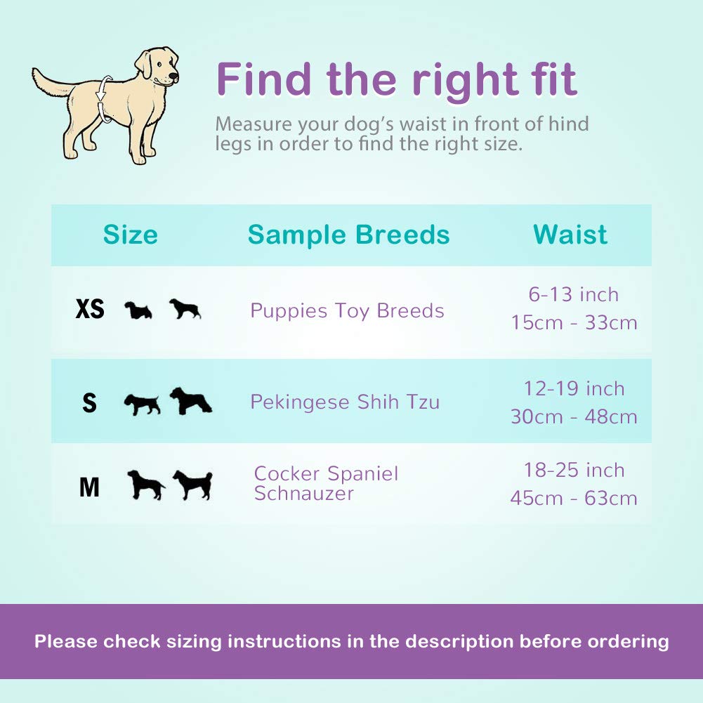 Flying Paws dog diapers in home setting show easy cleanup and sanitary living space.