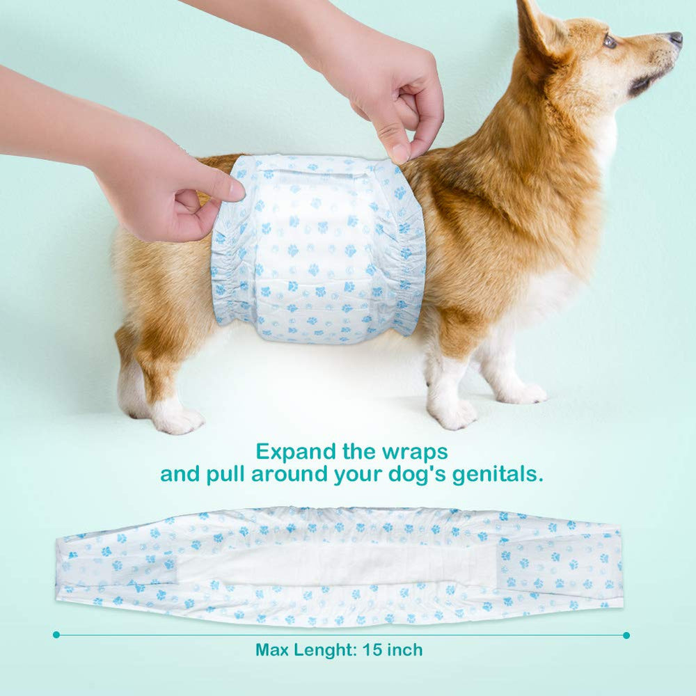 Flying Paws male dog diapers worn by a dog illustrate discreet protection during car trips.