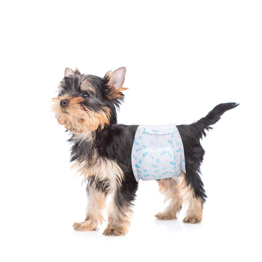Flying Paws male dog diapers 60-pcs pack shown for convenient daily use and cost savings.