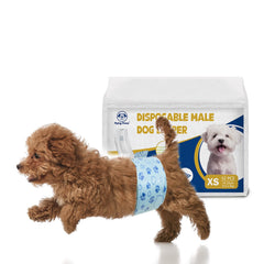 Flying Paws male dog diapers with wetness indicator for quick hygiene checks