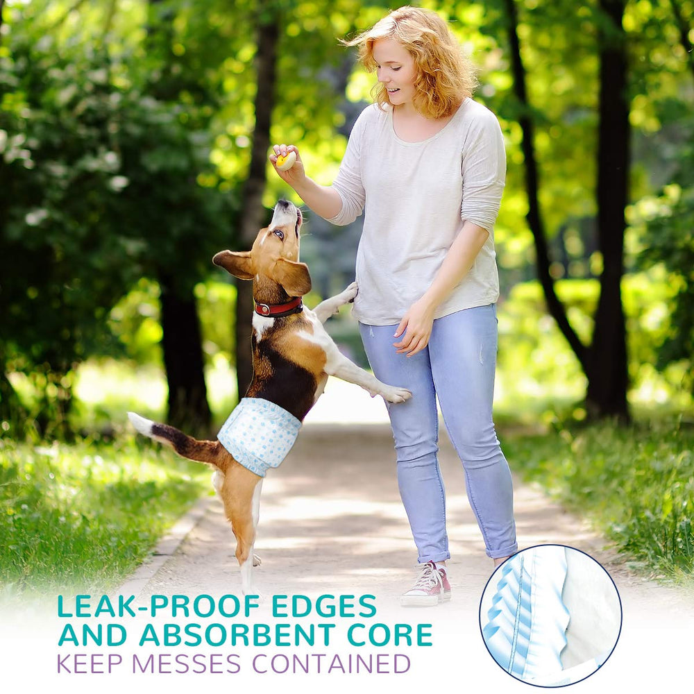 Flying Paws travel-ready diapers enable longer journeys with reliable leak protection.