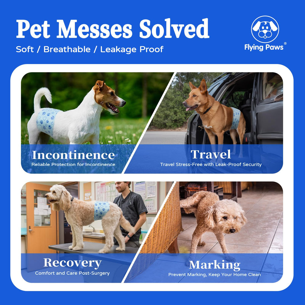 Flying Paws wetness indicator helps monitor dampness at a glance