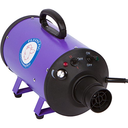 Flying Pig Grooming dryer hose extended shows flexible setup for easy reach.