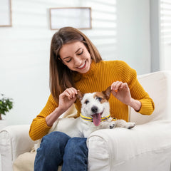 Flymind adjustable quick-release buckle collar keeps pets comfortable