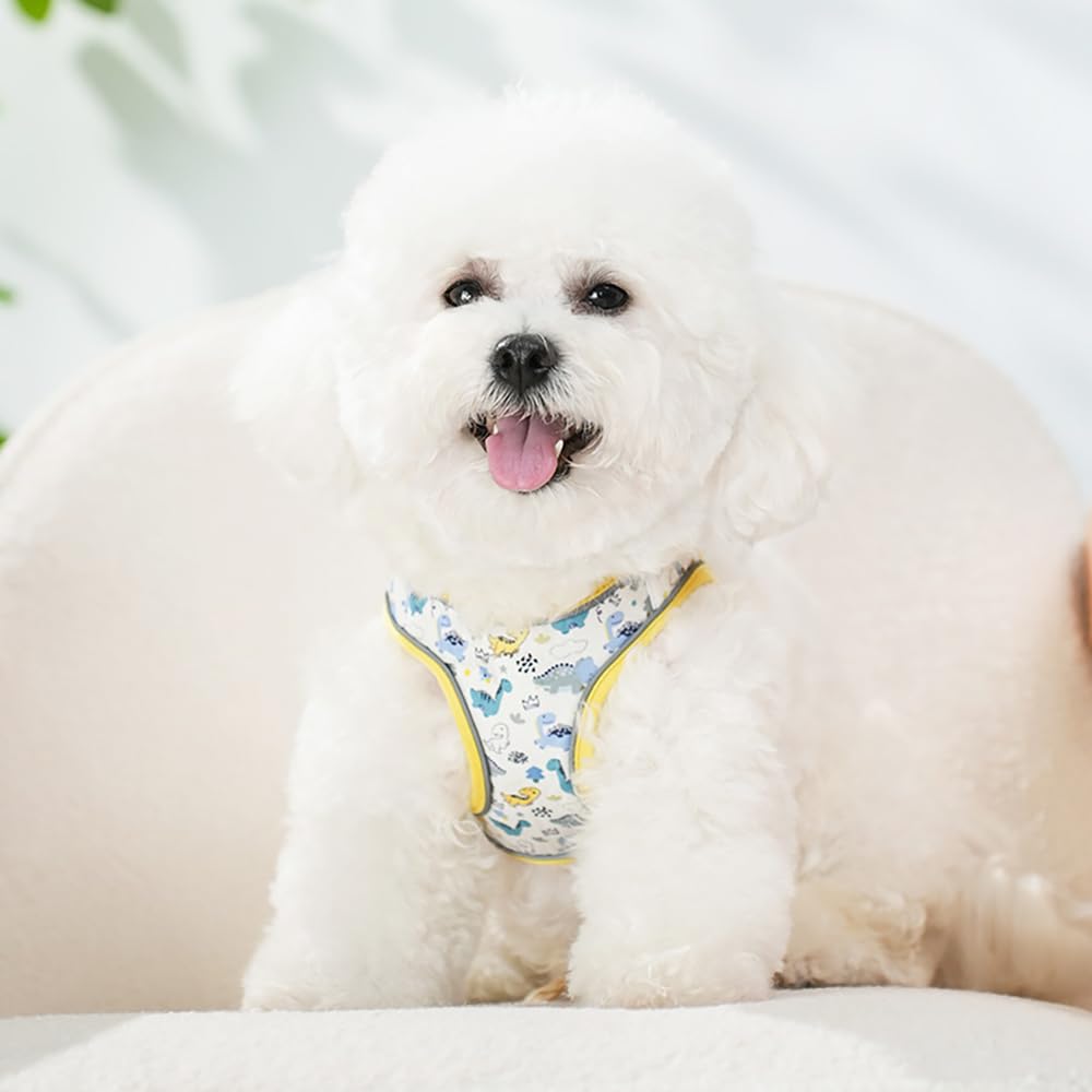 Flymind dinosaur pattern harness detail for small to medium dogs.